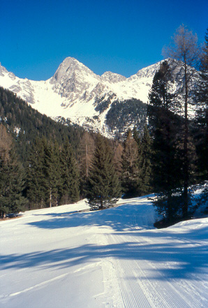 Piste di fondo di Anterselva con vista sulle montagne di Ries (Rieserferner-gruppe).