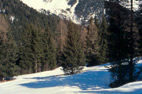 Piste di fondo di Anterselva con vista sulle montagne di Ries (Rieserferner-gruppe).