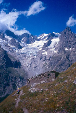 Gruppo del Monte Bianco: Les Grandes Jorasses dal Vallone di Malatrà (Val Ferret).